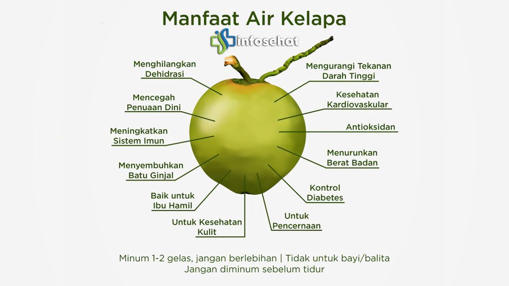 Buah Kelapa: Manfaat Kesehatan dan Kecantikan