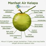 Buah Kelapa: Manfaat Kesehatan dan Kecantikan