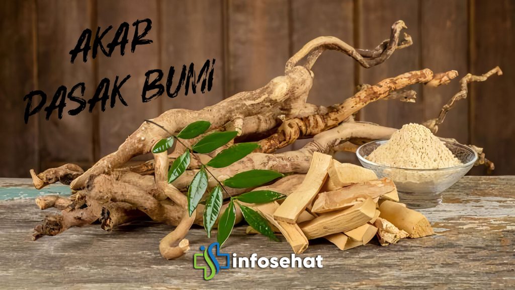 Pasak Bumi: Rahasia Herbal untuk Stamina dan Vitalitas