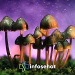 Magic Mushroom: Mengenal Jamur Tahi Sapi dan Efeknya