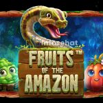 Fruits of the Amazon: Petualangan Eksotis dengan Hadiah Besar