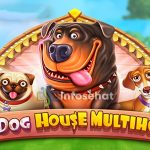 The Dog House Multihold: Temukan Cara Mudah Meraih Jackpot!