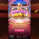 Lucky Neko: Slot Penuh Keberuntungan dari PGSoft