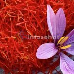 Bunga Saffron: Rempah Mahal dengan Manfaat untuk Kesehatan