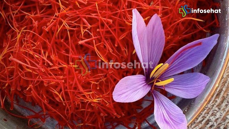 Bunga Saffron: Rempah Mahal dengan Manfaat untuk Kesehatan