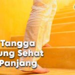 Naik Tangga untuk Jantung Sehat dan Usia Panjang