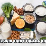 Kalsium: Kunci Tulang Kuat dan Cara Mencegah Masalah Tulang