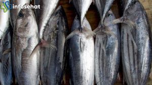 Ikan Bermerkuri Tinggi: Jenis dan Cara Menghindarinya