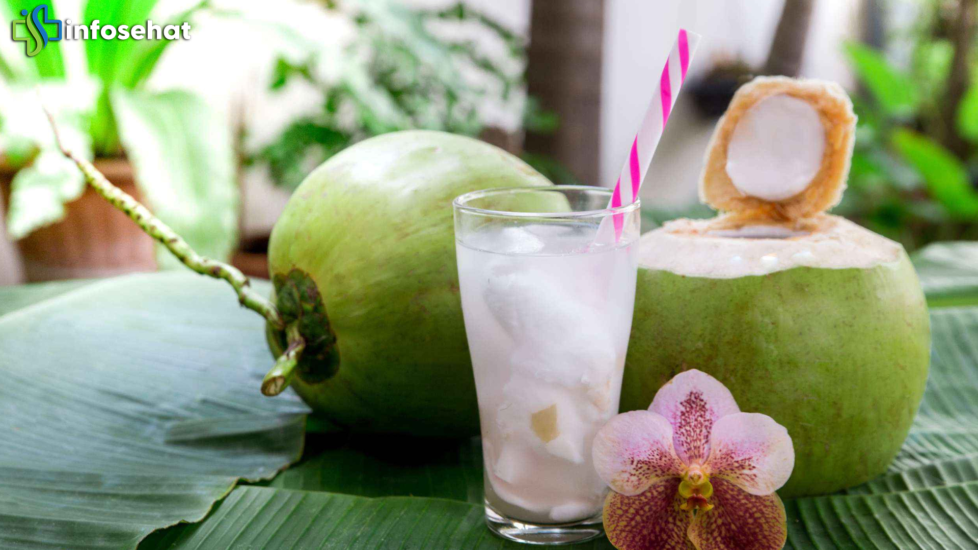 Manfaat Minum Air Kelapa Saat Hamil untuk Kesehatan Janin