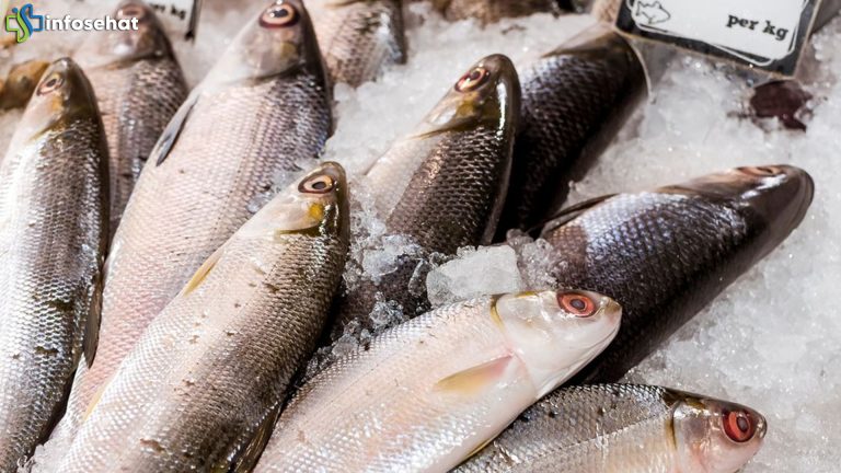 Ikan Bandeng dan Manfaatnya: Santapan Imlek yang Penuh Gizi