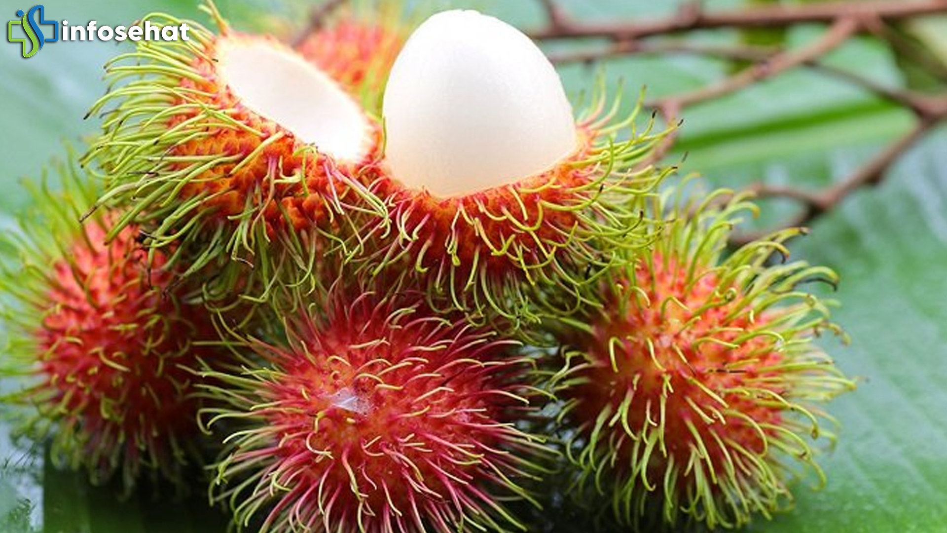 Kandungan Gizi & Risiko Makan Rambutan Berlebihan, Simak Yuk